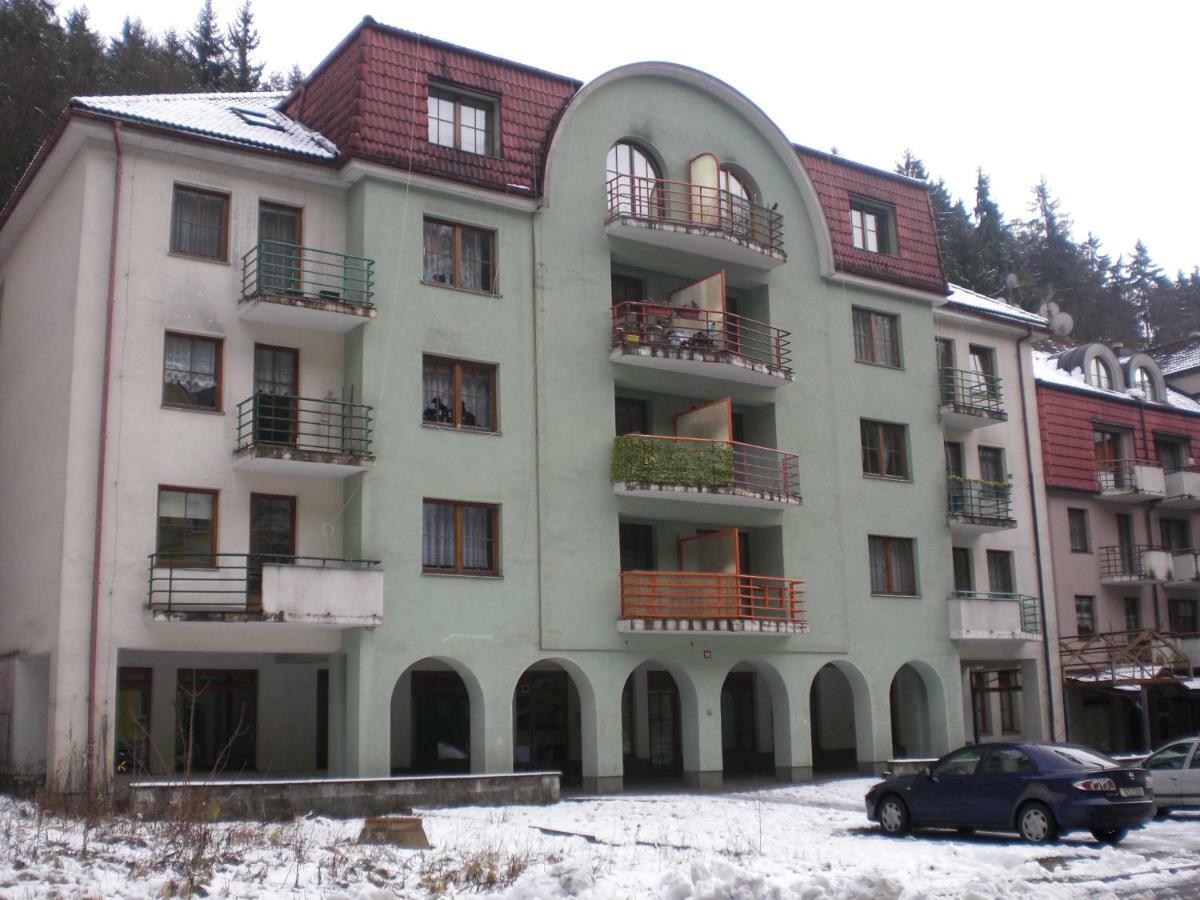 Apartman Pod Klinovcem 亚希莫夫 外观 照片